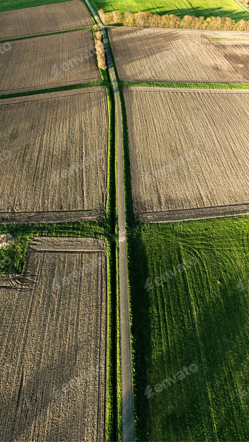 Preview: Aerial shot of a beautifully cultivated green farmland during sunset