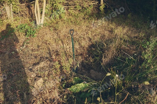 Preview: nature countryside docha fresh air