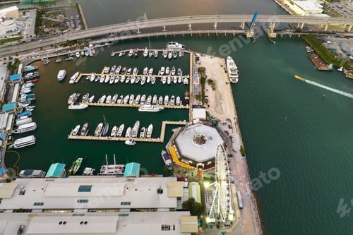 Preview: Miami Brickell bay harbor with many luxury yachts and sailboats.