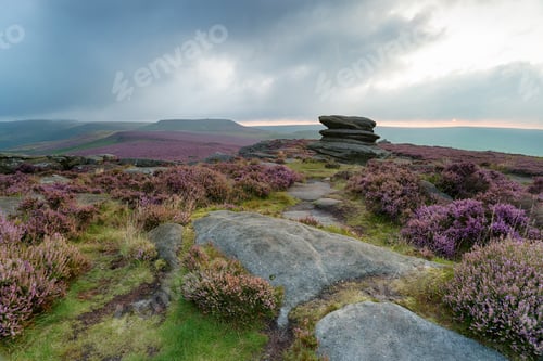 Preview: Over Owler Tor