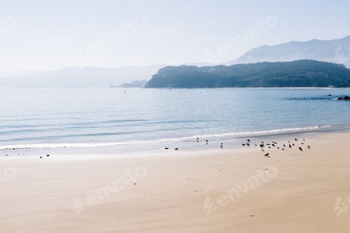 Visualização: viagem