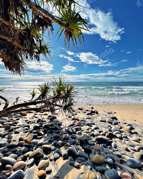 Preview: Queensland Winter