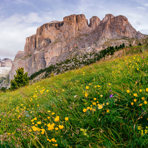 Preview: Rocky Mountains Dolomite