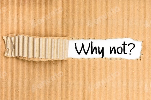 Preview: Why not, take the opportunity, corrugated torn cardboard background in white paper
