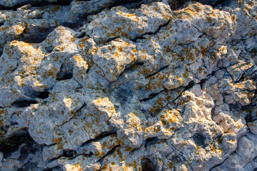 Preview: Rock texture on the coast of Kamenjak in Istria, Croatia