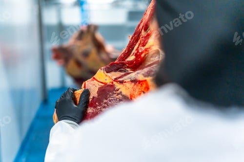 Preview: Close-up of worker transporting meat along a processing factory