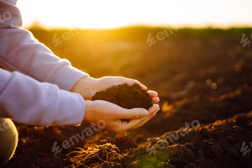 Preview: Hand of expert farmer collect soil. Farmer is checking soil quality before sowing. Agriculture.