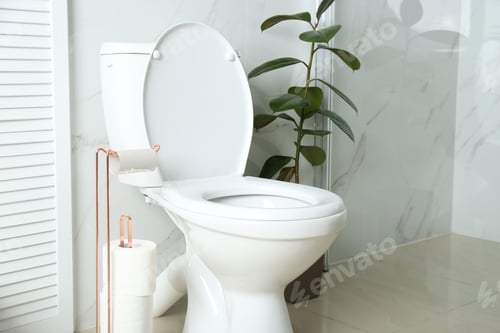 Preview: Holder with toilet paper rolls in bathroom