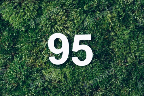Preview: Green grass, digit ninety-five. Birthday greeting card with inscription 95.