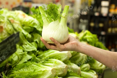 Preview: Woman'S Hand Choosing Fennel In The Market. Concept Of Healthy Food, Bio, Vegetarian, Diet.