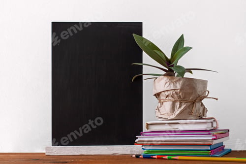 Preview: Books stack, pencils green home plant pot wrapped paper white background. Distance education school