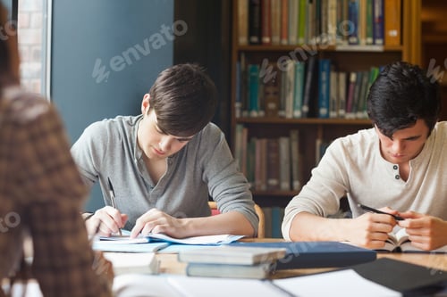 Preview: Members Of A Study Group Working In A Library