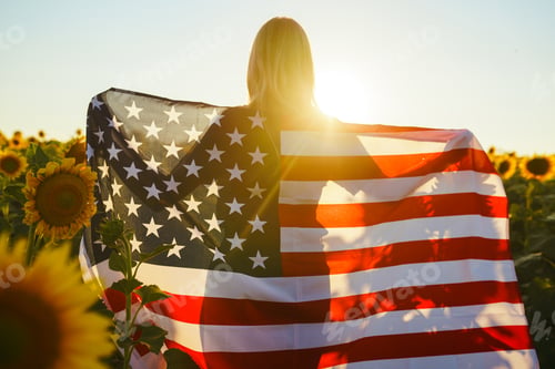 Preview: Person Holding US Flag in Sunflower Field