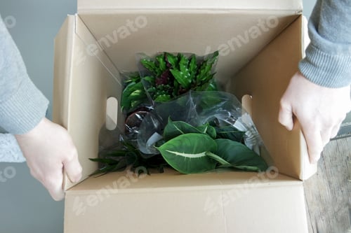 Preview: Unpacking living plants.