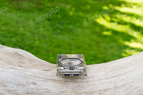 Preview: compass on a tree trunk with grass background