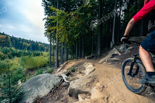 Preview: Mountain biker riding cycling in autumn forest