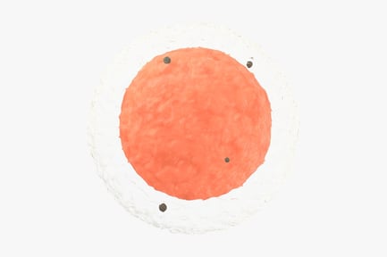 Preview: Egg Cell, Orange Circle with Textured Surface and Black Dots