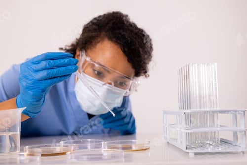 Preview: African american mid adult female doctor pipetting liquid in petri dish while doing medical research