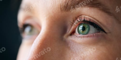 Vista previa: Fotografía de Macro Studio Expression de los ojos de una mujer con un primer plano de las pestañas y la pupila