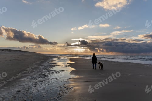 Preview: Female with her pet dog walking along the shoreline of a beach at sunset