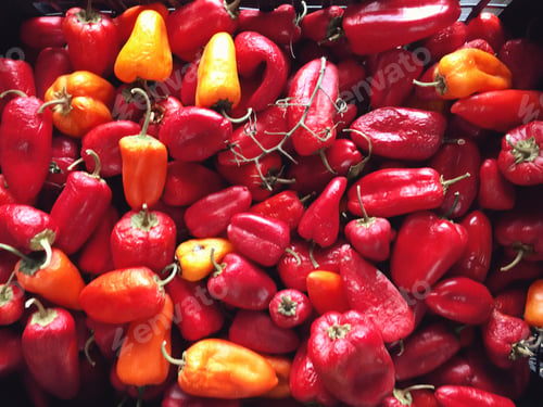 Preview: Red hot chili pepper typical fresh product of Calabria