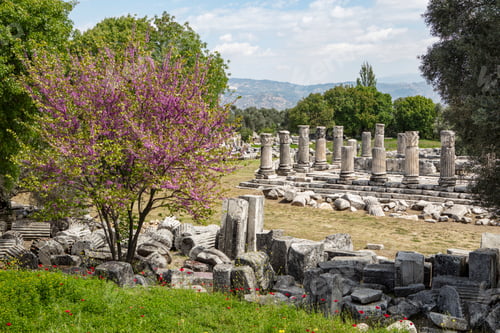 Preview: Ruins of the ancient sanctuary Lagina, Turkey