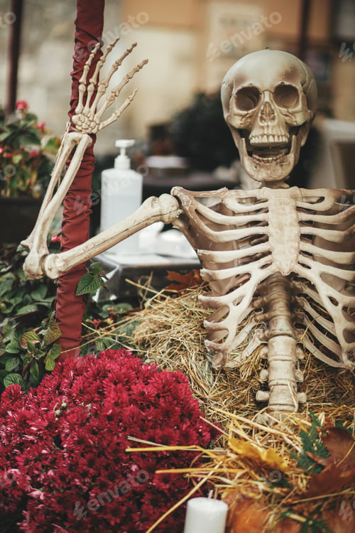 Preview: Scary skeleton, pumpkins, flowers, haystacks in city street. Spooky Halloween decor. Happy halloween