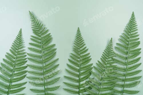 Preview: Tropical summer background