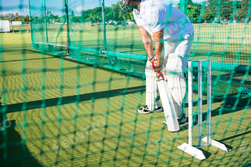 Preview: Low section of man playing cricket at field