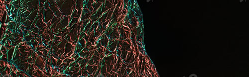 Preview: panoramic shot of crumpled foil with colorful lighting isolated on black