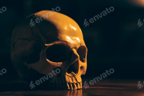 Preview: Human skull in dark tone background for using in Halloween concept, scary and death style