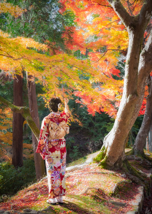 Preview: Young woman in kimono under maple tree, Kyoto, Japan