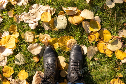 Preview: Legs in boots on the autumn leaves