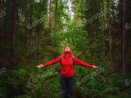 Preview: journey in summer Russia, Komarovo village, ecological trail Komarovsky coast.