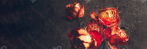 Preview: Bunch of beautiful faded flowers through the glass with rain drops