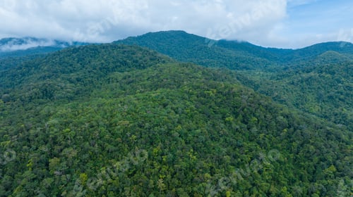 Preview: Aerial view of beautiful mountain natural green field of forest in