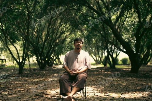 Preview: Calm man nature portrait, relaxed person sitting on chair in green tree tunnel