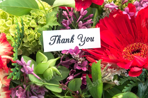 Preview: Thank You Card