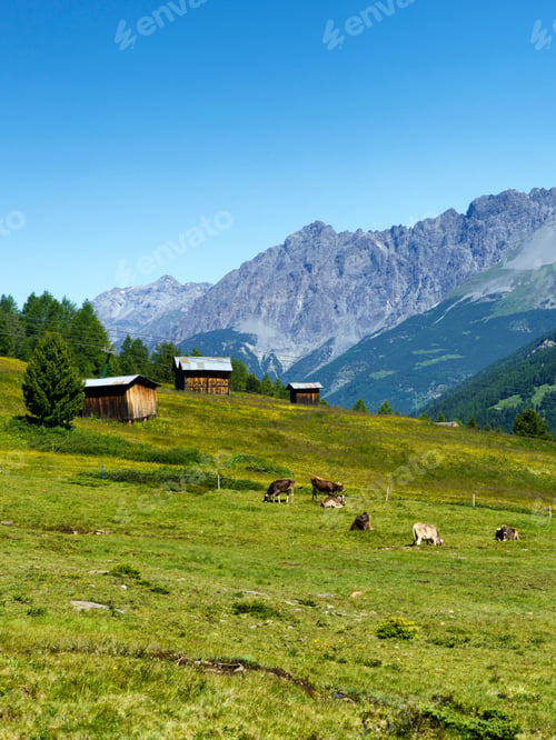 Preview: Passo Gavia, mountain pass in Lombardy, Italy, at summer