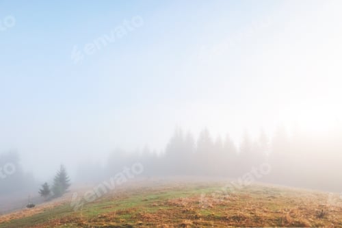 Preview: Morning fog creeps with scraps over autumn mountain forest covered in gold leaves