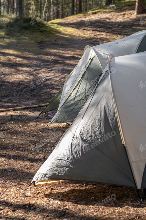 Preview: Two tents are set up in a serene forest, surrounded by tall trees and illuminated by gentle morning