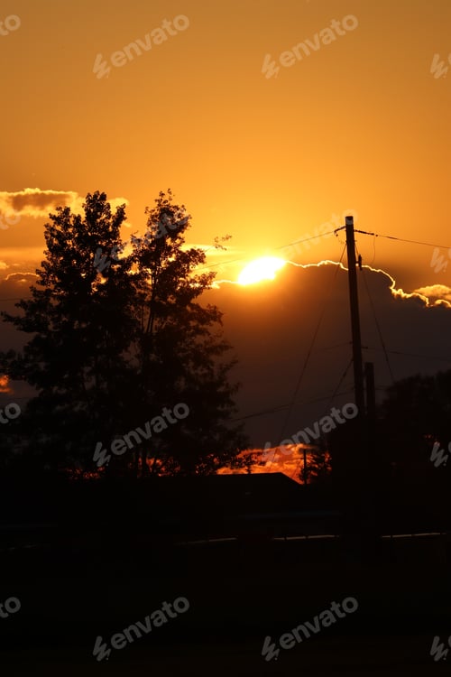 Preview: Tree silhouetted against a sunset sky