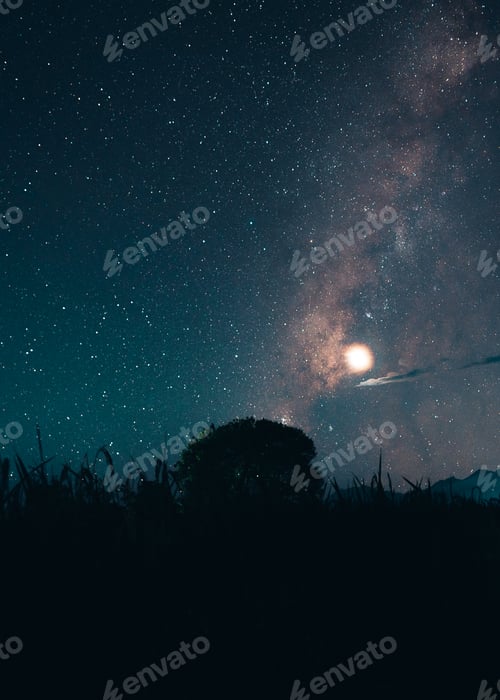 Preview: Milky way and night stars in the fields