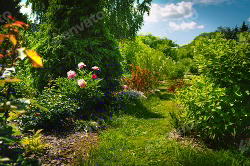 Preview: Lush green botanical garden