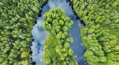 Preview: Aerial view on the forest and river. Landscape from drone.