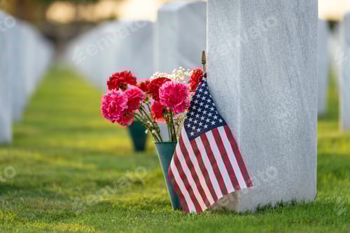 Preview: Red Flowers and American Flag at Cemetery