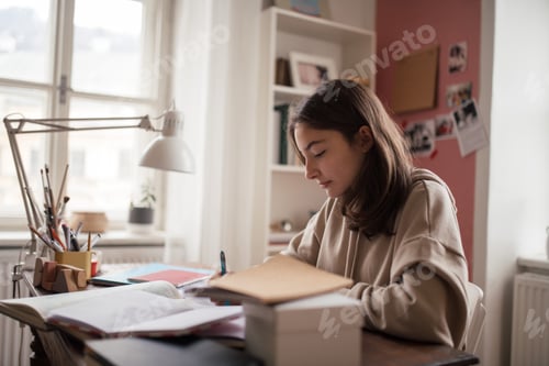 Preview: Young teenage girl studying in her room.