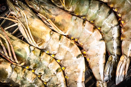Preview: Fresh uncooked shrimp. Macro background.