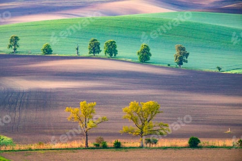 Preview: Gorgeous rural landscape with green sunny spring hills. South Moravia region, Czech Republic