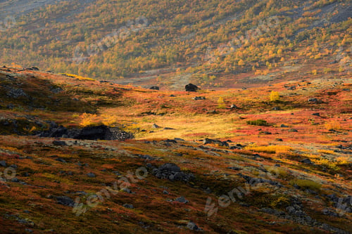 Preview: Autumn coloured valley near Malaya Belaya river, Khibiny mountains, Kola Peninsula, Russia